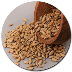 Wheat Khapli